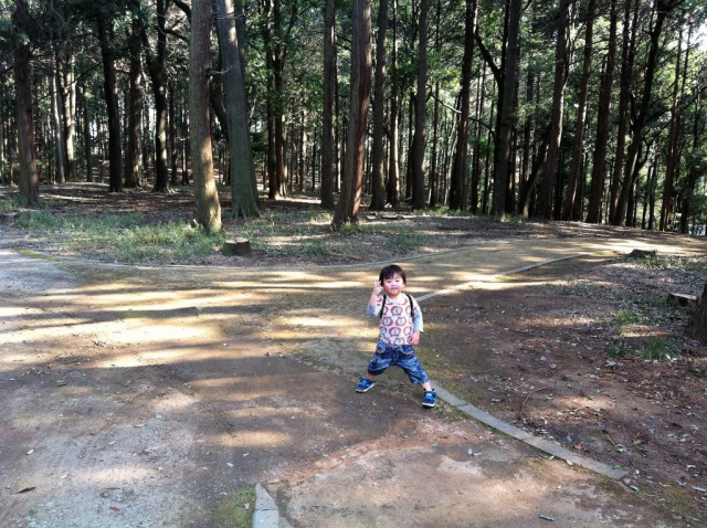 我孫子市五本松公園子供も楽しい