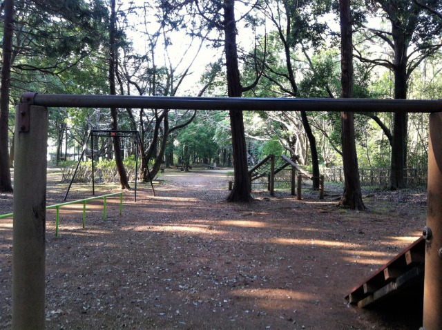 我孫子市五本松公園の遊具は小学生向け