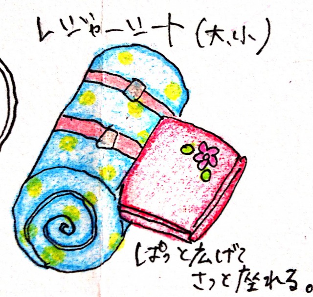 子どもとのお出かけに便利な持ち物:レジャーシート