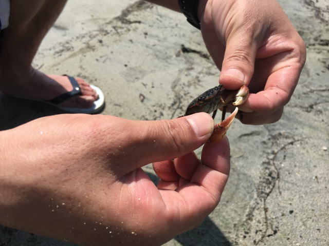 南房総の白浜への旅:塩浦海水浴場南房総の白浜への旅:塩浦海水浴場9