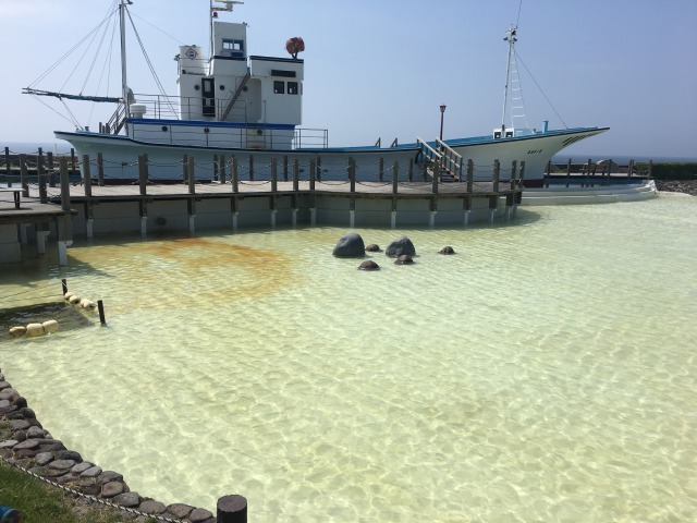 南房総の白浜への旅:道の駅ちくら3