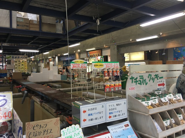 南房総の白浜への旅:道の駅ちくら