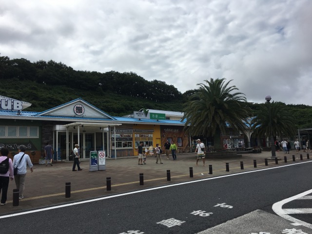 南房総白浜への旅:市原SA