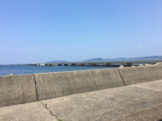 南房総の白浜への旅:渚の駅・たてやま6