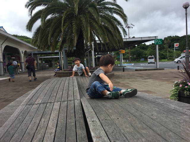 南房総白浜への旅:市原SA3